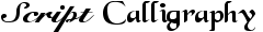 Script & Calligraphy Fonts