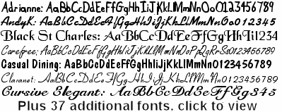 Script & Calligraphy font sample